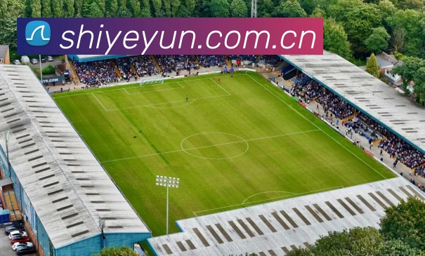 开云官网服务体系