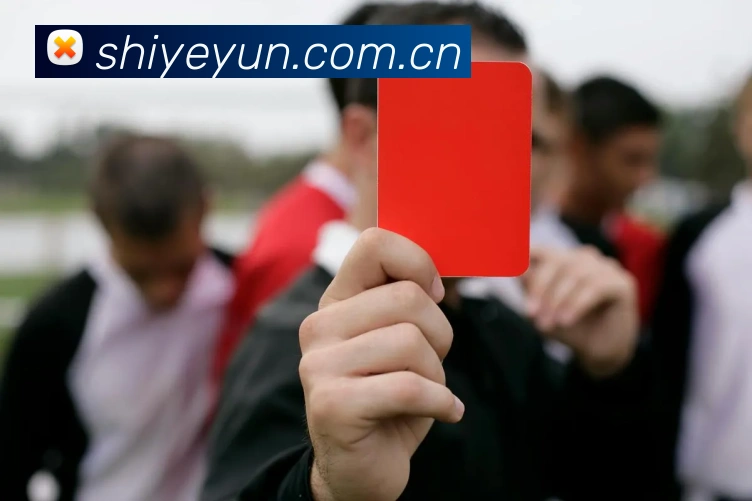 开云官网APP 体育赛事宣传图